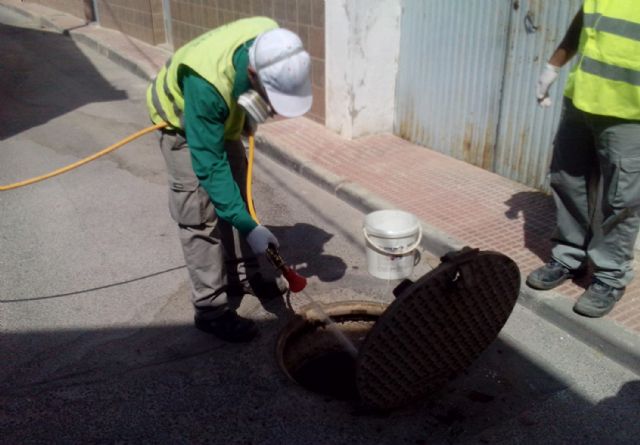 El Ayuntamiento torreño comienza los tratamientos anuales de desratización y desinsectación del alcantarillado local