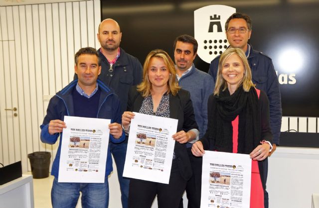 Llega sobre ruedas la tercera edición de la jornada de patinaje 'Villa de las Torres'
