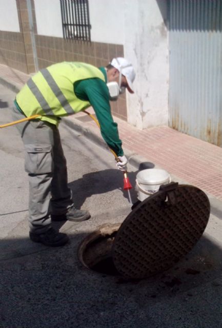 Llegan un año más a Las Torres de Cotillas los tratamientos anuales de desratización y desinsectación del alcantarillado local