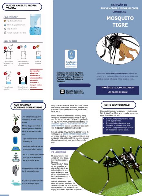 El Ayuntamiento torreño, activo contra el mosquito tigre