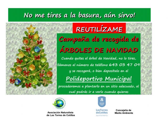 Una segunda vida para para los árboles de Navidad en Las Torres de Cotillas