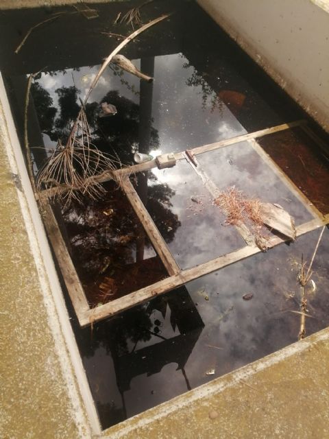 ¿Fuentes ornamentales o criaderos de mosquitos, ranas y hasta sapos?