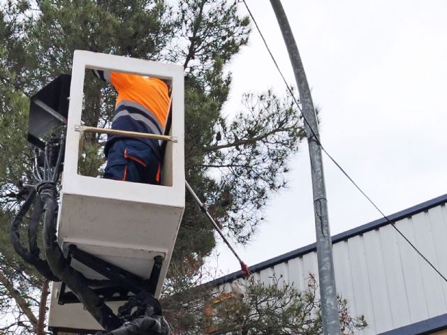 El Ayuntamiento de Las Torres de Cotillas continúa con la retirada de bolsas de procesionaria en el municipio