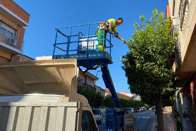 El arbolado de Las Torres de Cotillas se pone guapo para el invierno