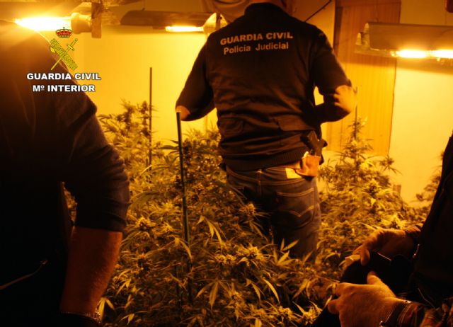 La Guardia Civil desmantela una vivienda dedicada al tráfico de droga y detiene a su propietaria por delito de robo con violencia e intimidación