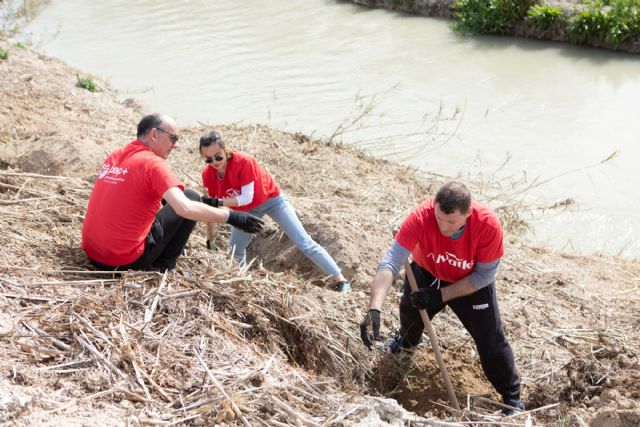 Se inicia la segunda fase del programa de agua con la plantación de otros 2.000 árboles en Las Torres de Cotillas