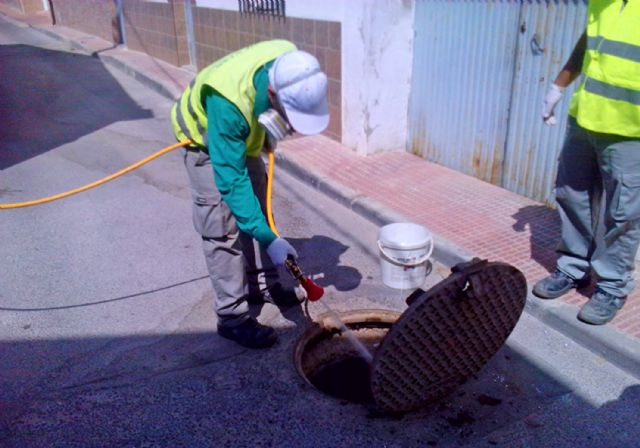 La concejalía de Sanidad realiza la primera campaña de desratización y desinsectación del alcantarillado de 2019