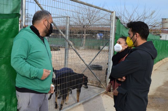 La protectora Las Torres busca voluntarios para ayudar en el centro municipal de proteccion animal