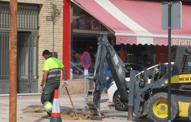 Comienzan las labores de reposición de arbolado en Las Torres de Cotillas