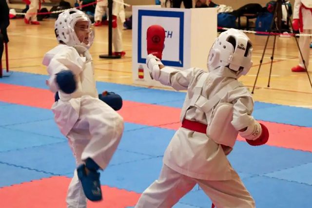 El Casa Zen torre&ntilde;o suma siete medallas en el campeonato regional de karate