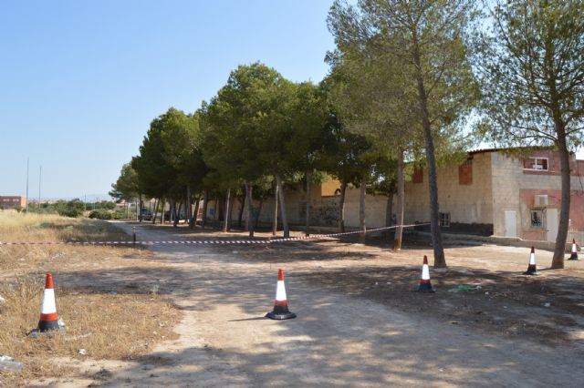 El Ayuntamiento mejora la seguridad de los pinos del Parque de la Emisora