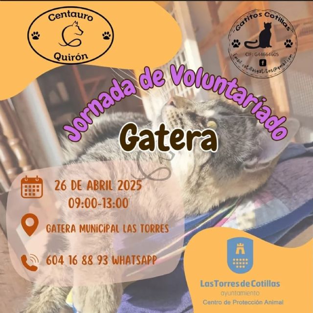 Nueva jornada de voluntariado en la gatera municipal