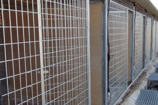 El Centro de Protección Animal amplía sus instalaciones para mejorar la atención a los animales vagabundos