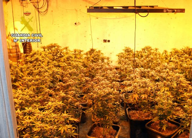 La Guardia Civil detiene a una pareja por cultivo ilícito de marihuana y robos en Las Torre de Cotillas