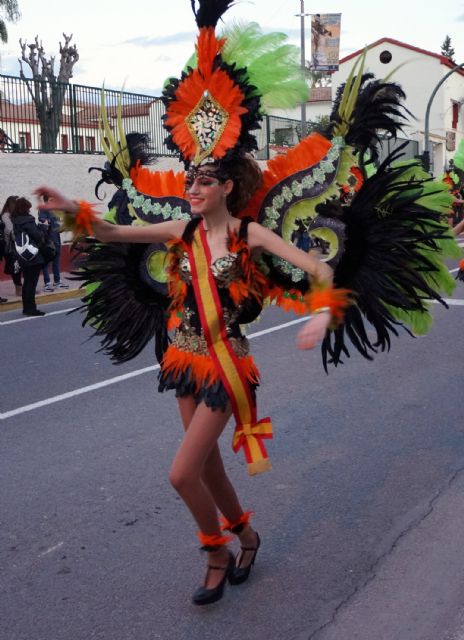 Cerca de 1.300 personas desfilaron en el Carnaval de Las Torres de Cotillas