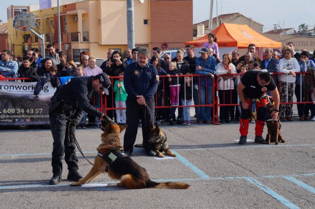 La exhibición de la nueva unidad canina de la Policía Local torreña, un éxito