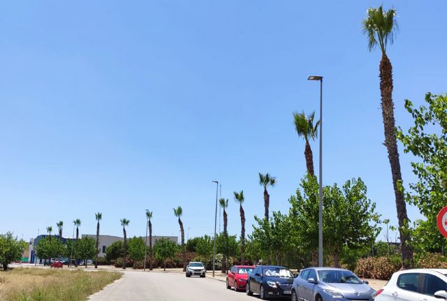 Comienza la poda pre-verano de las palmeras del municipio