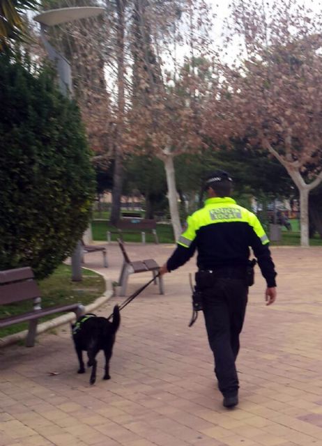 La labor de la nueva unidad canina de la Policía Local torreña empieza a dar frutos