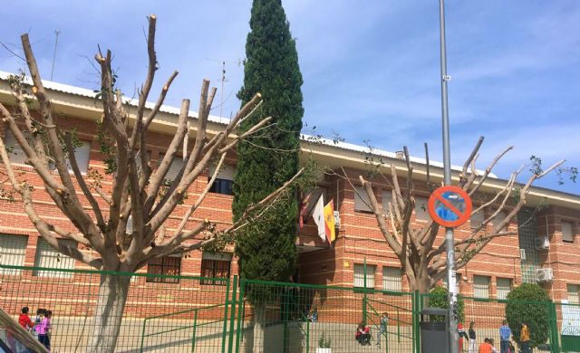 El Ayuntamiento se ve obligado a podar dos ficus del colegio El Parque por motivos de seguridad